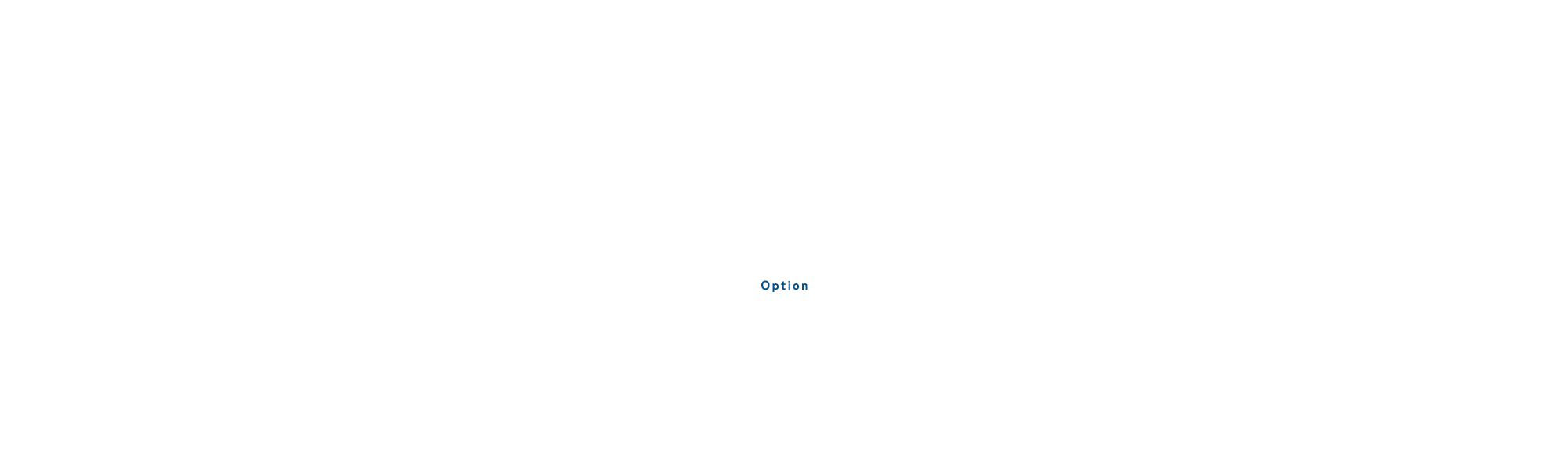 オプション品